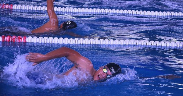 250 vận động viên tranh tài Giải bơi, lặn các vận động viên xuất sắc quốc gia 2022